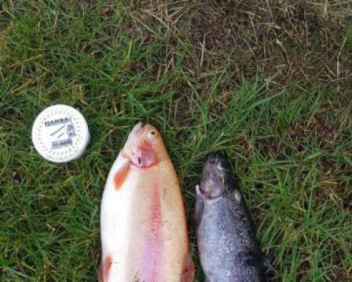 angelsee forellensee tellingstedt