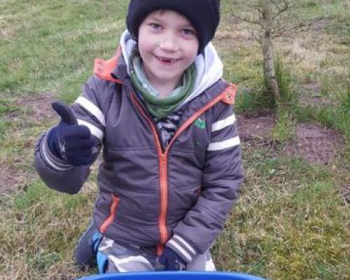 angelsee forellensee tellingstedt