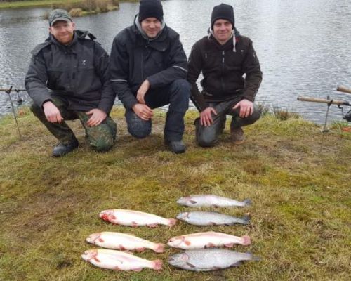 angelsee forellensee tellingstedt