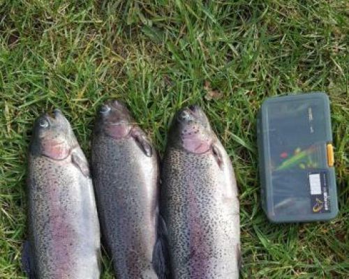 angelsee forellensee tellingstedt