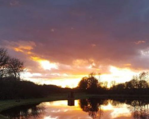 angelsee forellensee tellingstedt