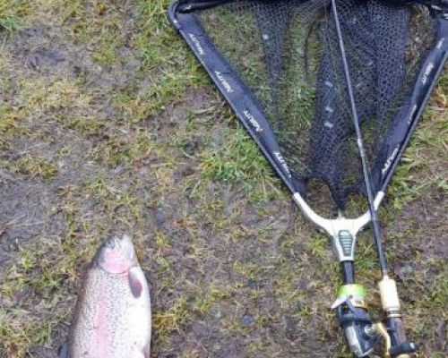 angelsee forellensee tellingstedt