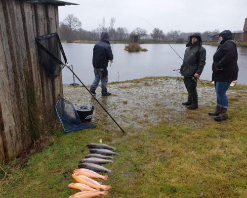 Angelsee Kleinvollstedt Bilder aus dem März 2019