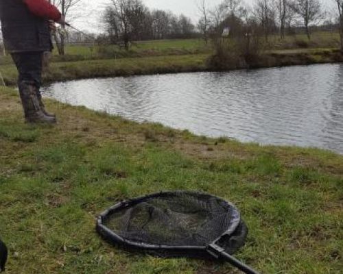 angelsee forellensee tellingstedt