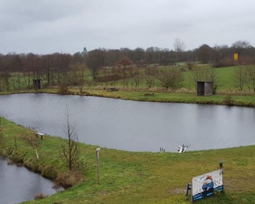 angelsee forellensee tellingstedt