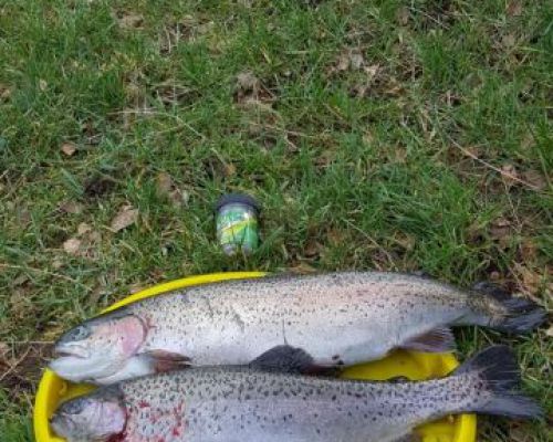 angelsee forellensee tellingstedt