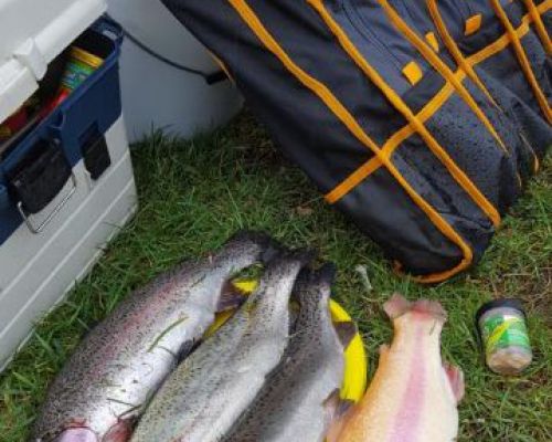 angelsee forellensee tellingstedt