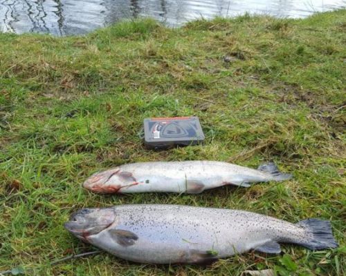 angelsee forellensee tellingstedt