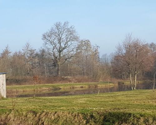 angelsee tellingstedt dithmarschen