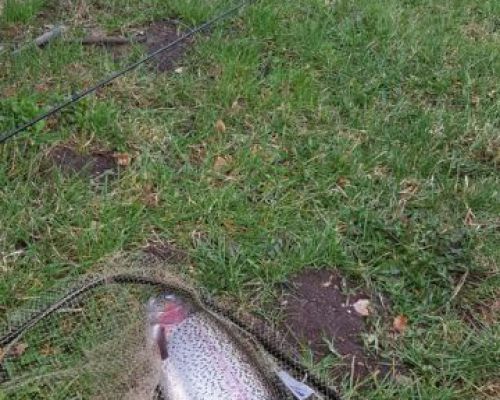 angelsee forellensee tellingstedt